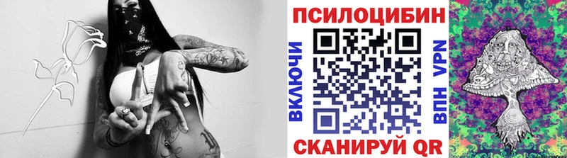 blacksprut сайт  Рузаевка  Галлюциногенные грибы GOLDEN TEACHER  купить закладку 