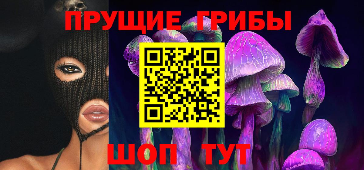 Псилоцибиновые грибы Psilocybe Рузаевка